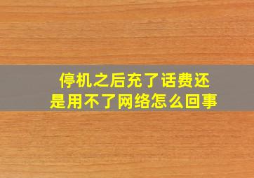 停机之后充了话费还是用不了网络怎么回事