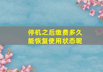 停机之后缴费多久能恢复使用状态呢