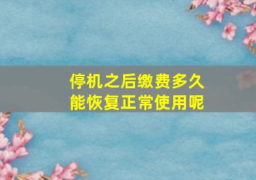 停机之后缴费多久能恢复正常使用呢