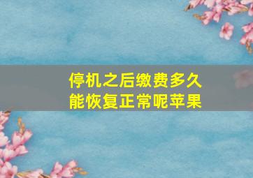 停机之后缴费多久能恢复正常呢苹果