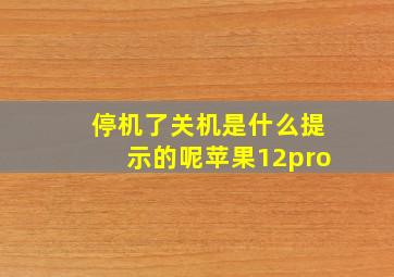 停机了关机是什么提示的呢苹果12pro