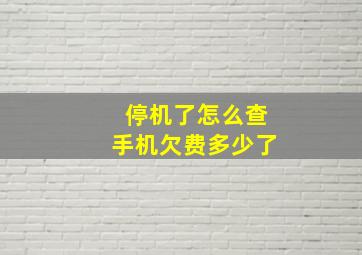 停机了怎么查手机欠费多少了