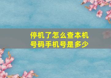 停机了怎么查本机号码手机号是多少