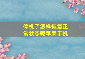 停机了怎样恢复正常状态呢苹果手机