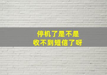 停机了是不是收不到短信了呀