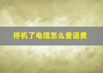 停机了电信怎么查话费