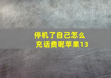 停机了自己怎么充话费呢苹果13