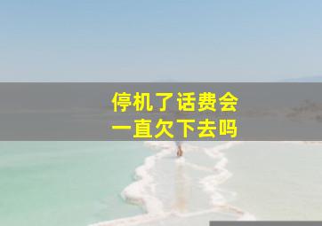 停机了话费会一直欠下去吗