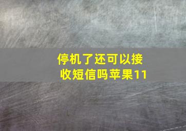 停机了还可以接收短信吗苹果11