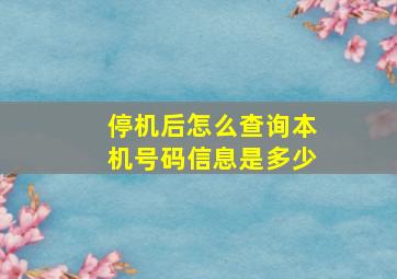 停机后怎么查询本机号码信息是多少