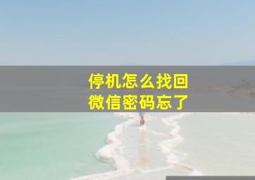 停机怎么找回微信密码忘了