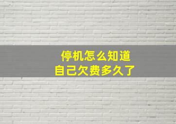 停机怎么知道自己欠费多久了