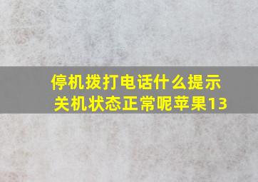 停机拨打电话什么提示关机状态正常呢苹果13