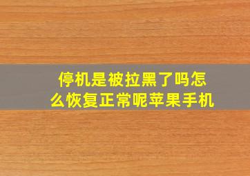 停机是被拉黑了吗怎么恢复正常呢苹果手机