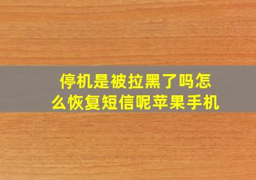 停机是被拉黑了吗怎么恢复短信呢苹果手机