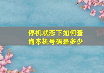 停机状态下如何查询本机号码是多少