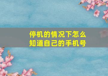 停机的情况下怎么知道自己的手机号