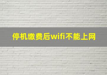 停机缴费后wifi不能上网