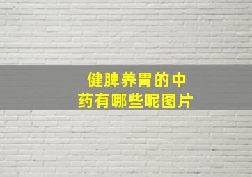 健脾养胃的中药有哪些呢图片