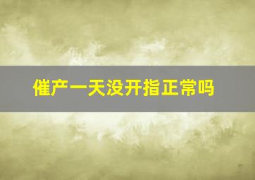 催产一天没开指正常吗