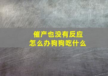 催产也没有反应怎么办狗狗吃什么