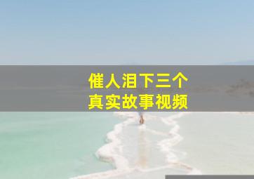 催人泪下三个真实故事视频