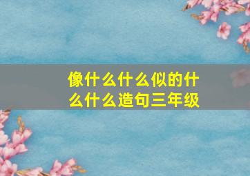 像什么什么似的什么什么造句三年级