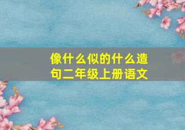 像什么似的什么造句二年级上册语文