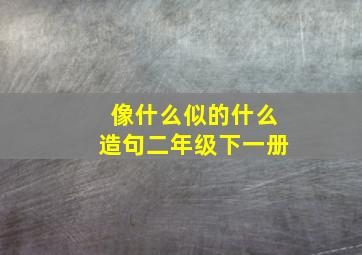 像什么似的什么造句二年级下一册