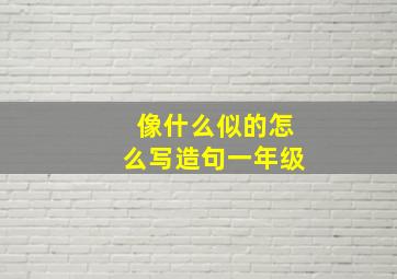 像什么似的怎么写造句一年级