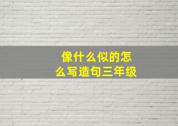 像什么似的怎么写造句三年级