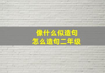 像什么似造句怎么造句二年级