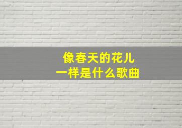 像春天的花儿一样是什么歌曲