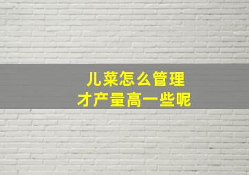 儿菜怎么管理才产量高一些呢