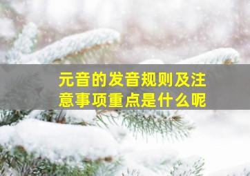 元音的发音规则及注意事项重点是什么呢