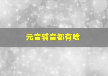 元音辅音都有啥