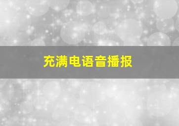 充满电语音播报