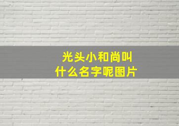 光头小和尚叫什么名字呢图片