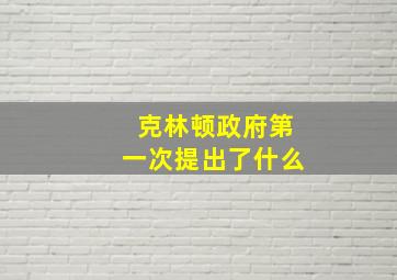 克林顿政府第一次提出了什么