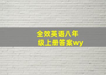 全效英语八年级上册答案wy