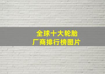 全球十大轮胎厂商排行榜图片