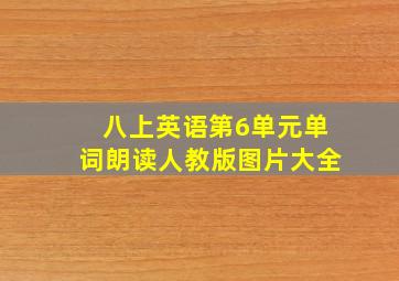 八上英语第6单元单词朗读人教版图片大全