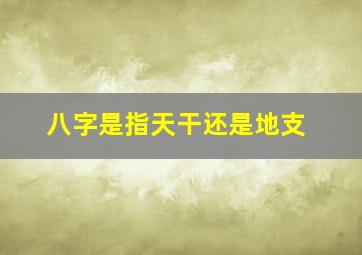 八字是指天干还是地支