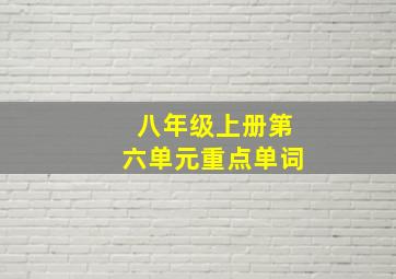 八年级上册第六单元重点单词