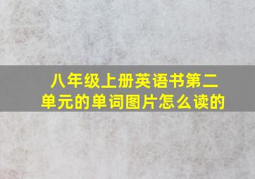 八年级上册英语书第二单元的单词图片怎么读的