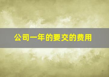 公司一年的要交的费用