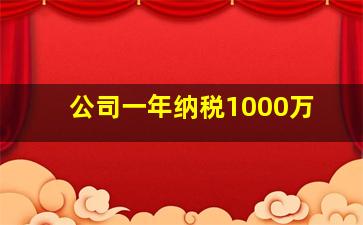 公司一年纳税1000万