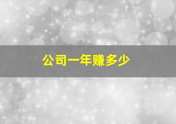 公司一年赚多少