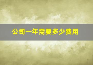 公司一年需要多少费用