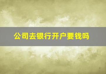 公司去银行开户要钱吗